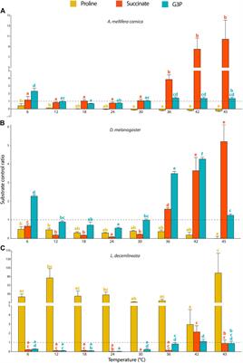 Flexible Thermal Sensitivity of Mitochondrial Oxygen Consumption and Substrate Oxidation in Flying Insect Species